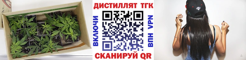 ТГК гашишное масло  Купить где  Краснознаменск 