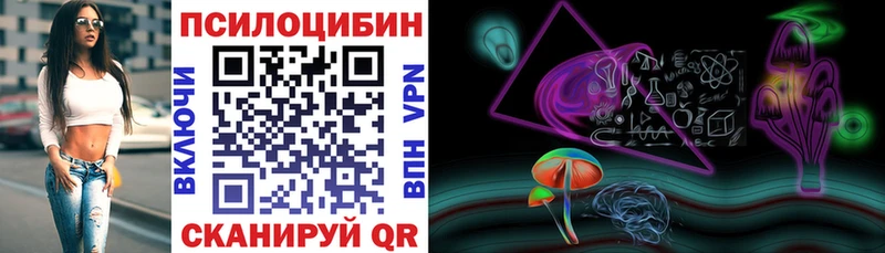 Купить  Краснознаменск  Галлюциногенные грибы MAGIC MUSHROOMS 