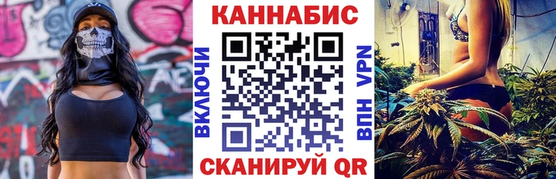 Купить где  Краснознаменск  Канабис ГИДРОПОН 